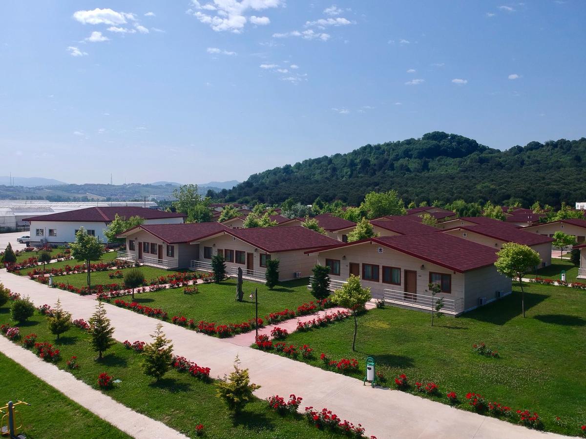 Отель Rizom Tatil Koyu Samanli Экстерьер фото